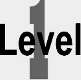 LEVEL 1