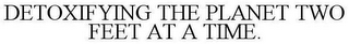 DETOXIFYING THE PLANET TWO FEET AT A TIME.