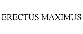 ERECTUS MAXIMUS