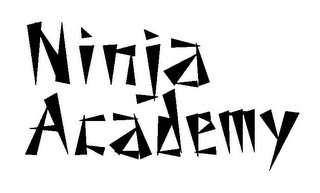 NINJA ACADEMY