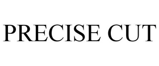 PRECISE CUT