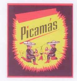 PICAMÁS