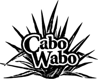 CABO WABO