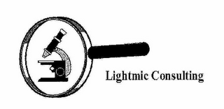 LIGHTMIC CONSULTING