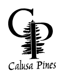 CP CALUSA PINES