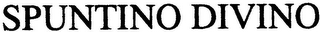 SPUNTINO DIVINO