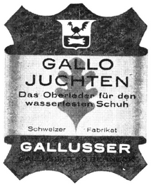 GALLO JUCHTEN