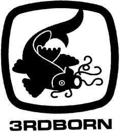 3RDBORN