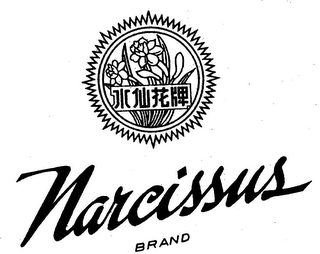 NARCISSUS BRAND