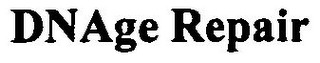 DNAGE REPAIR