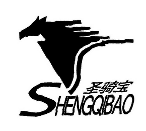 SHENGQIBAO