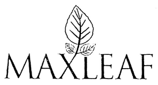 MAXLEAF