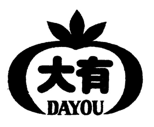 DAYOU