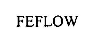 FEFLOW