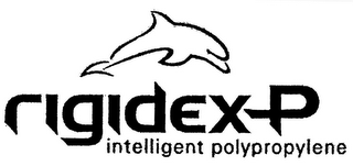 RIGIDEX-P INTELLIGENT POLYPROPYLENE