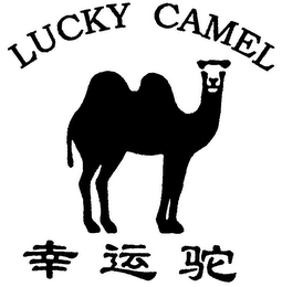 LUCKY CAMEL