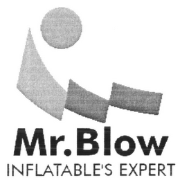 MR. BLOW INFLATABLE'S EXPERT