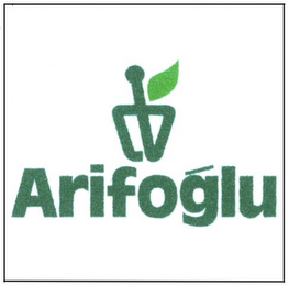 ARIFOGLU