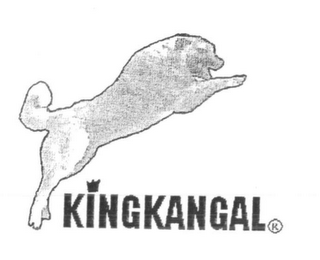 KINGKANGAL