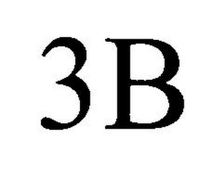 3B