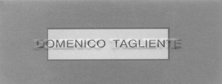 DOMENICO TAGLIENTE