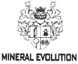 MINERAL EVOLUTION