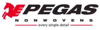 PEGAS NONWOVENS EVERY SINGLE DETAIL