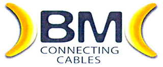 BM CONNECTING CABLES