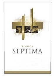 BODEGA SEPTIMA