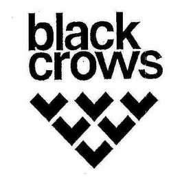 BLACK CROWS