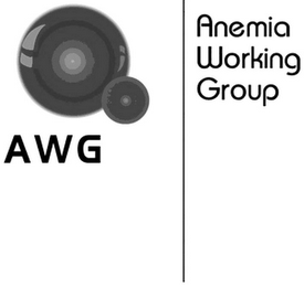 AWG ANEMIA WORKING GROUP