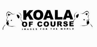 KOALA OF COURSE IMAGES FOR THE WORLD