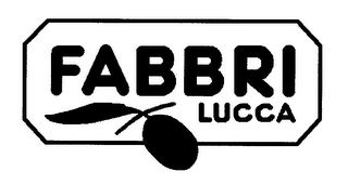 FABBRI LUCCA