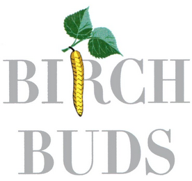 BIRCH BUDS