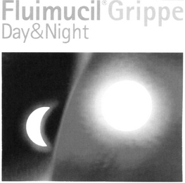 FLUIMUCIL GRIPPE DAY&NIGHT