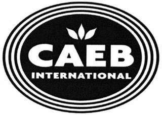 CAEB INTERNATIONAL