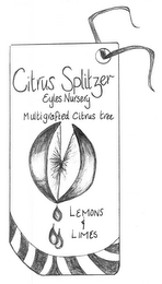 CITRUS SPLITZER LEMONS & LIMES