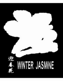 WINTER JASMINE