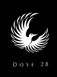 DOSE 28