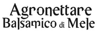AGRONETTARE BALSAMICO DI MELE