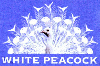 WHITE PEACOCK