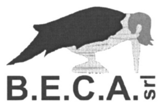 B.E.C.A. SRL