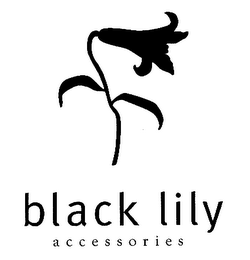 BLACK LILY ACCESSORIES
