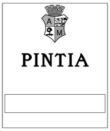 PINTIA