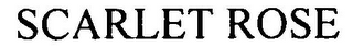 SCARLET ROSE
