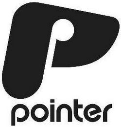 P POINTER