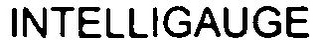 INTELLIGAUGE