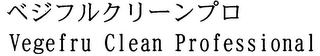 VEGEFRU CLEAN PROFESSIONAL