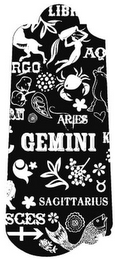 GEMINI