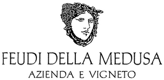 FEUDI DELLA MEDUSA AZIENDA E VIGNETO